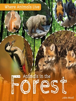 cover image of Animals in the Forest